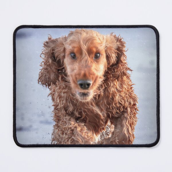 Item preview, Brewski after a swim designed and sold by DVart-nz.