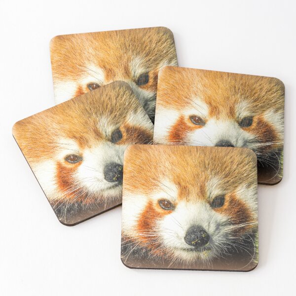 Item preview, Red panda designed and sold by indiafrankk.