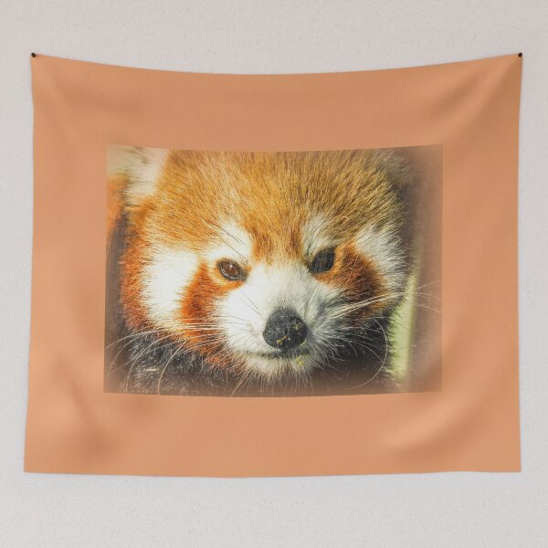 Item preview, Red panda designed and sold by indiafrankk.