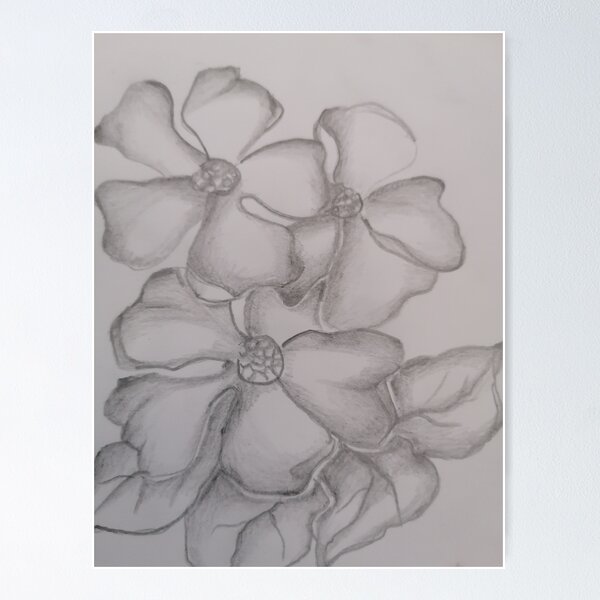 Item preview, Art drawings of flowers and leaves  designed and sold by Nature  Nblossom.