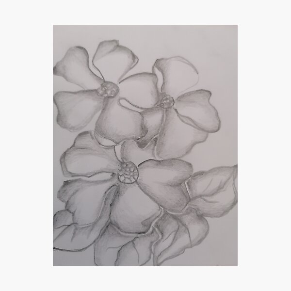 Item preview, Art drawings of flowers and leaves  designed and sold by Nature  Nblossom.