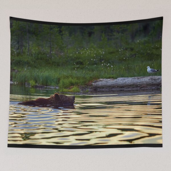 Item preview, Wanting some deep answers. Brown bear designed and sold by Jouko Lehto Photography.