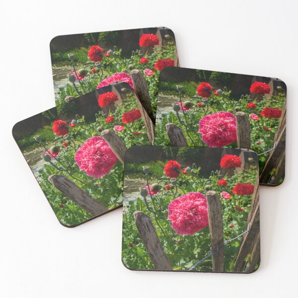 Item preview, Peony flower designed and sold by Araveen-Photo.