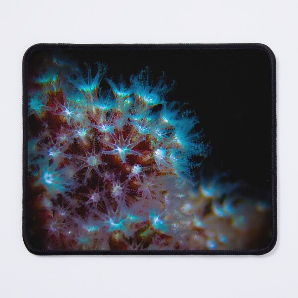 Item preview, Red Gorgonian | Bright | Leptogorgia chilensis | Anacapa | Goldfish Point designed and sold by Hexxyl.