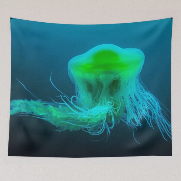 Item preview, Fried Egg Jelly Fish | Phacellophora camtschatica | Point Cabrillo | Marine Biology designed and sold by Hexxyl.