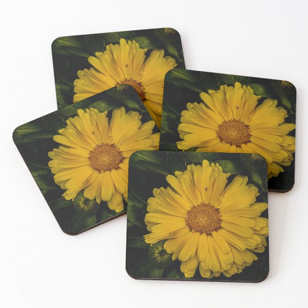 Item preview, Yellow pot marigold designed and sold by Araveen-Photo.