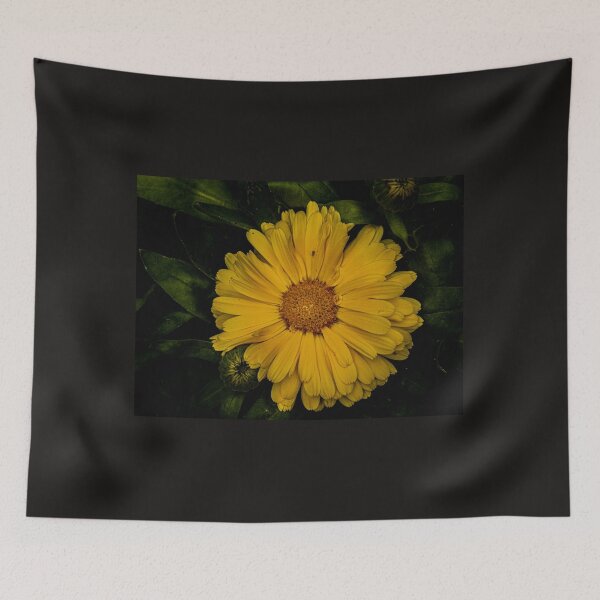 Item preview, Yellow pot marigold designed and sold by Araveen-Photo.
