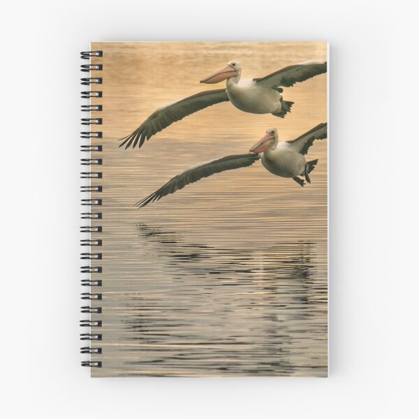 Item preview, Pelicans in Flight Marlo Vic. designed and sold by helmutk.