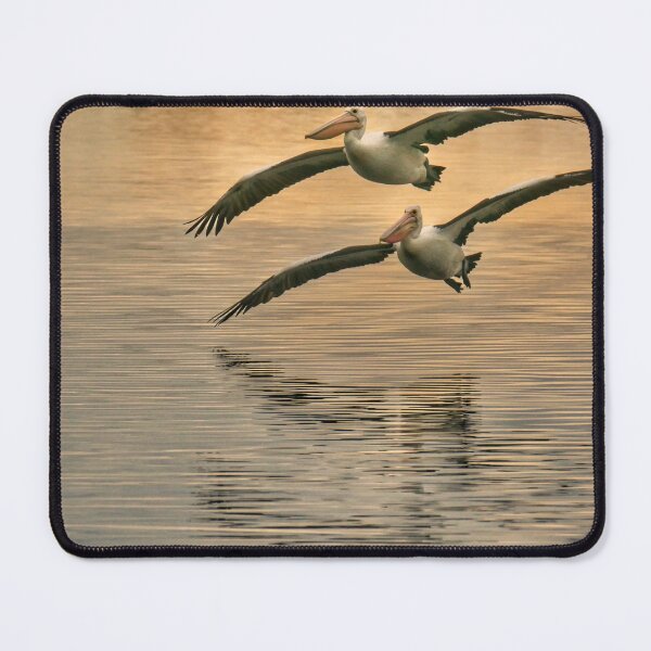 Item preview, Pelicans in Flight Marlo Vic. designed and sold by helmutk.