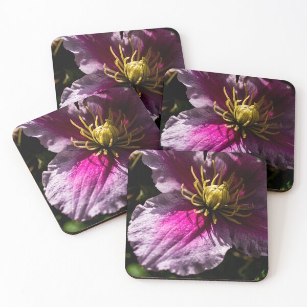 Item preview, Clematis Jackmanii designed and sold by Araveen-Photo.