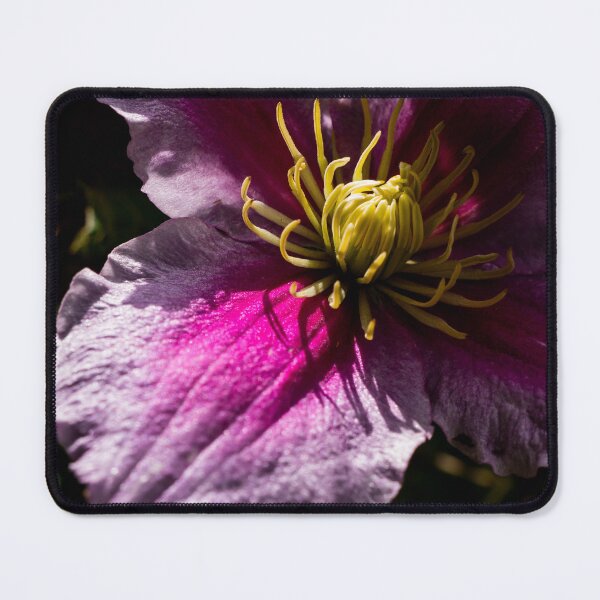 Item preview, Clematis Jackmanii designed and sold by Araveen-Photo.