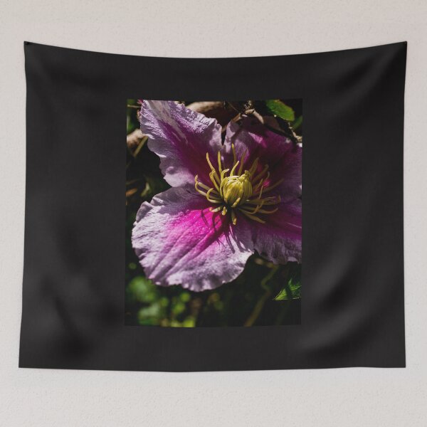 Item preview, Clematis Jackmanii designed and sold by Araveen-Photo.