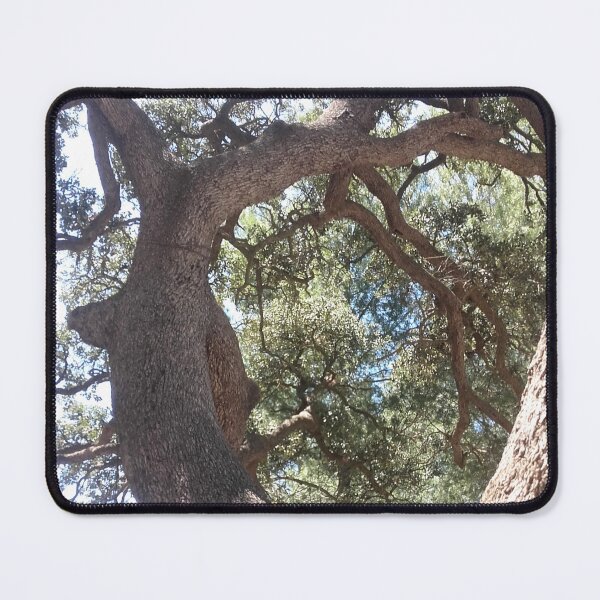 Item preview, Twisted Branches - Photography designed and sold by MinEkkoArt.