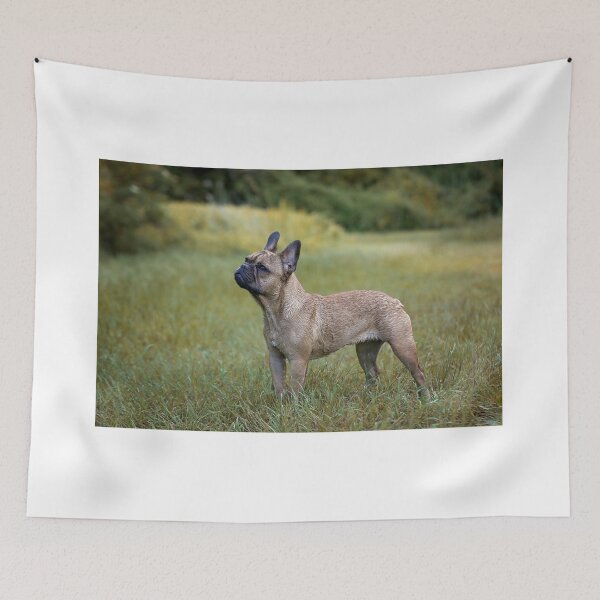 Item preview, French Bulldog designed and sold by Nebulae-Art.