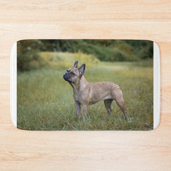 Item preview, French Bulldog designed and sold by Nebulae-Art.
