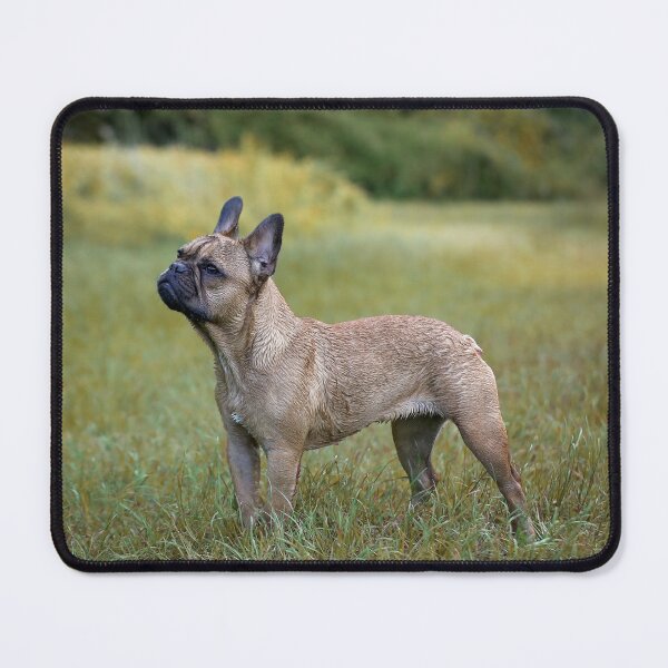 Item preview, French Bulldog designed and sold by Nebulae-Art.