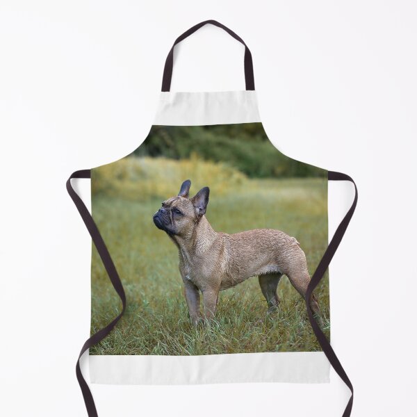 Item preview, French Bulldog designed and sold by Nebulae-Art.