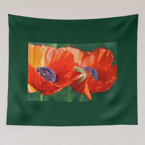 Item preview, Sunlit Poppies designed and sold by Debbie Oppermann.