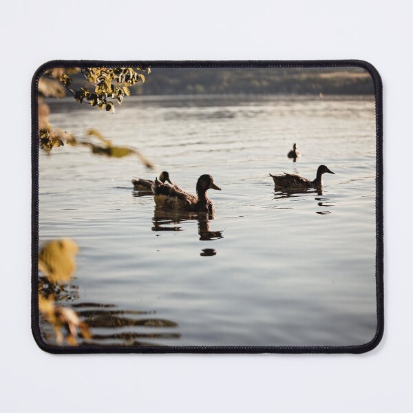 Item preview, landscape relaxing ducks lake sunset designed and sold by Nebulae-Art.
