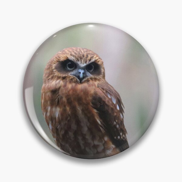 Item preview, Southern Boobook Owl designed and sold by LeanneAllen.