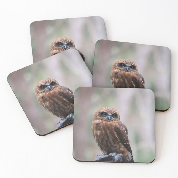 Item preview, Southern Boobook Owl designed and sold by LeanneAllen.