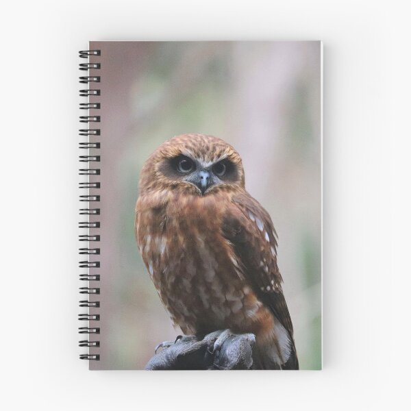 Item preview, Southern Boobook Owl designed and sold by LeanneAllen.