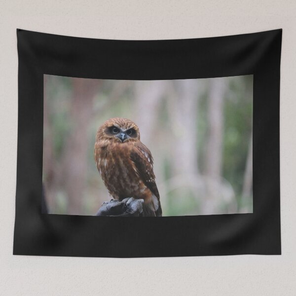 Item preview, Southern Boobook Owl designed and sold by LeanneAllen.