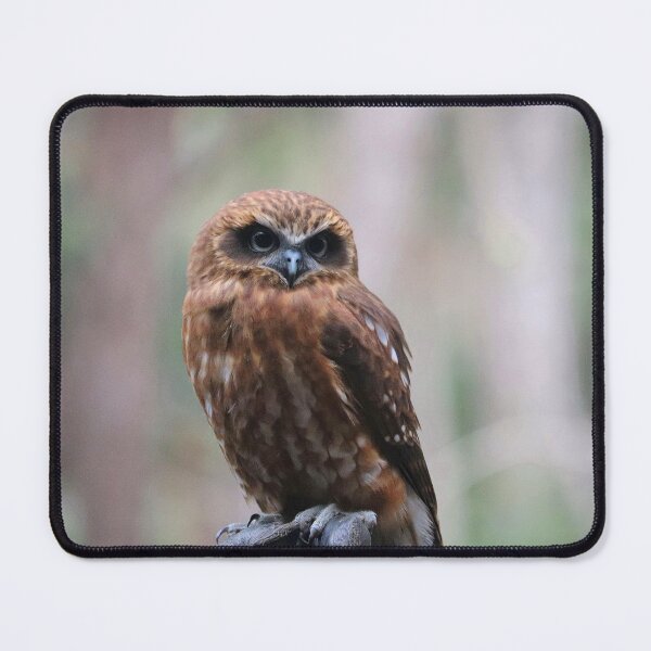 Item preview, Southern Boobook Owl designed and sold by LeanneAllen.