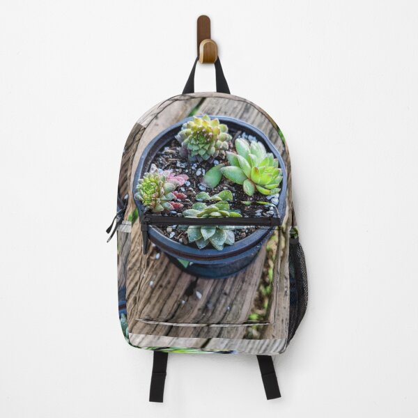 Item preview, Propagated Chick Succulents  designed and sold by arfff.