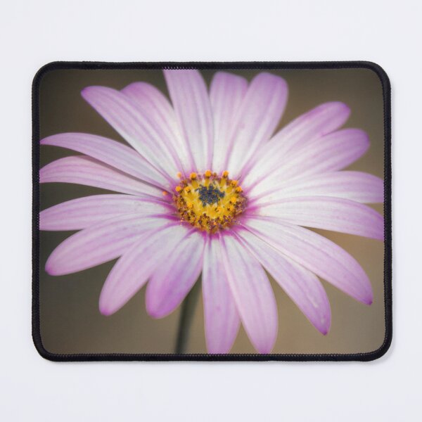 Item preview, Daisy designed and sold by JEZ22.