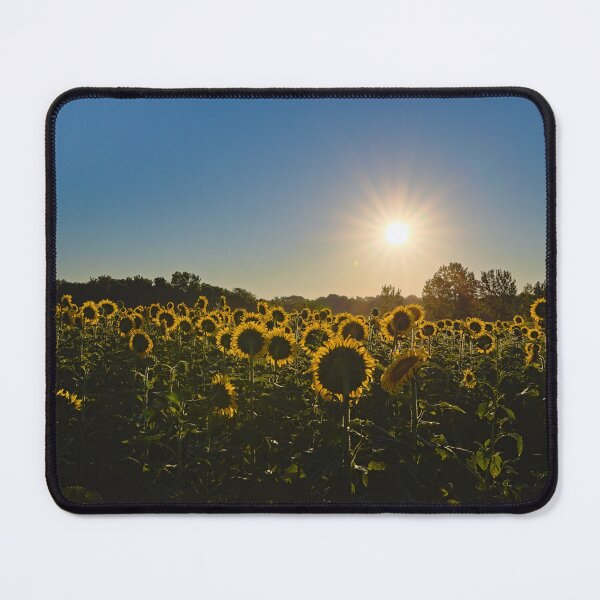 Item preview, Sunflower Field designed and sold by Brad Chambers.