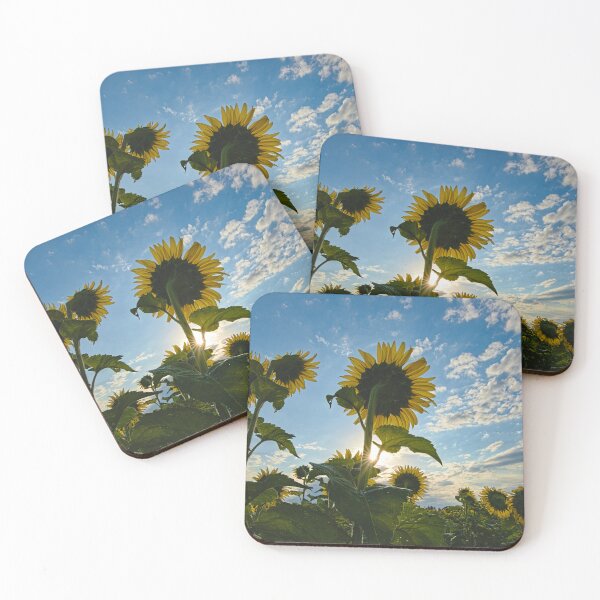 Item preview, Morning Sunflowers designed and sold by Brad Chambers.
