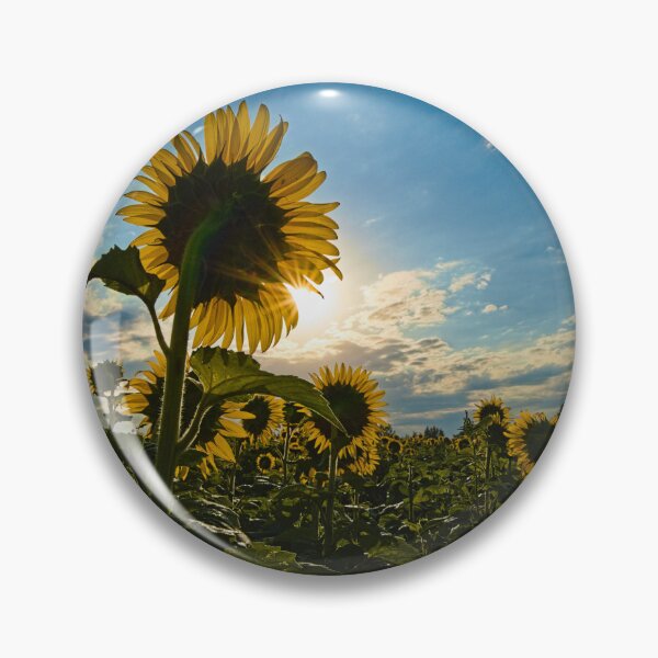 Item preview, Blue Sky Sunflower designed and sold by Brad Chambers.