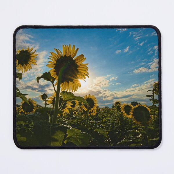 Item preview, Blue Sky Sunflower designed and sold by Brad Chambers.