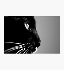 Profil Wall Art Redbubble