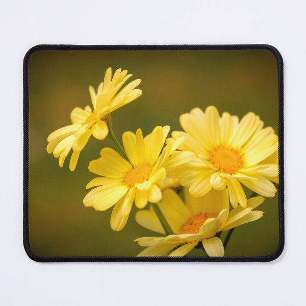 Item preview, Yellow Marguerite designed and sold by JEZ22.