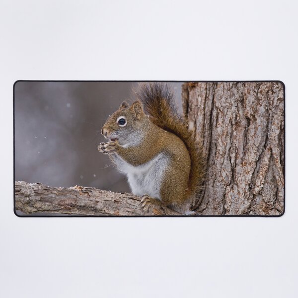 Item preview, Red Squirrel designed and sold by Michael Cummings.