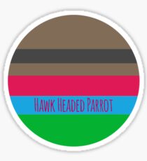 Hawk Headed Parrot Pallet Sticker
