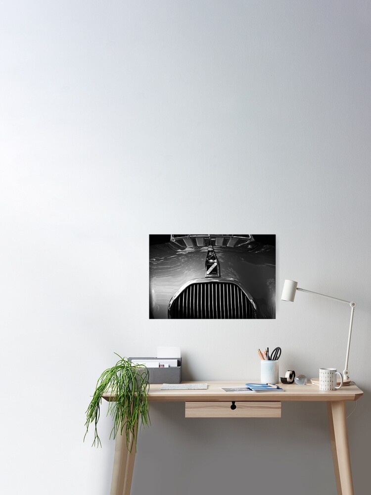 Black Primer Photographic Print for Sale by dlhedberg