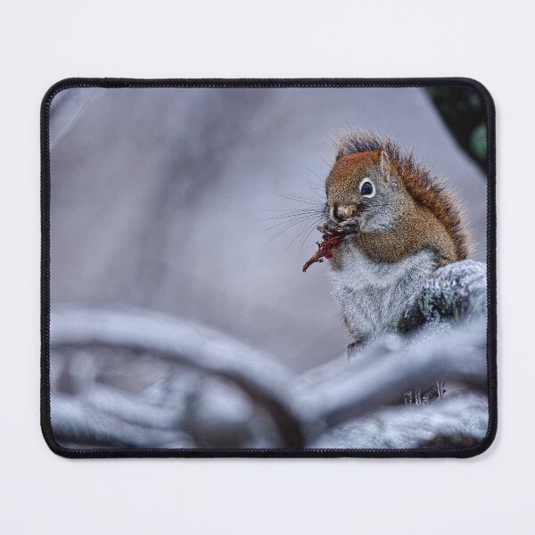Item preview, Winter Squrrel designed and sold by Michael Cummings.