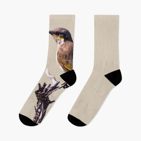 Item preview, Singing Honeyeater designed and sold by indiafrankk.