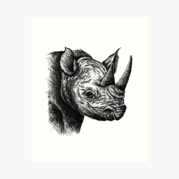 Rhino Sketch Art Print