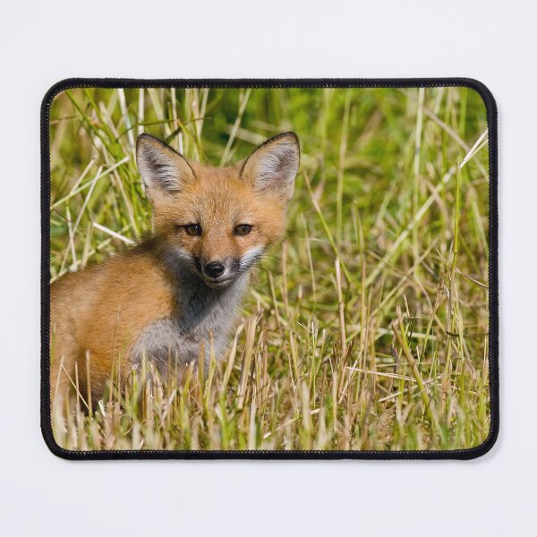 Item preview, Fox Kit designed and sold by Michael Cummings.