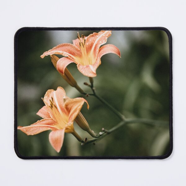 Item preview, orange wild lily flower designed and sold by Nebulae-Art.