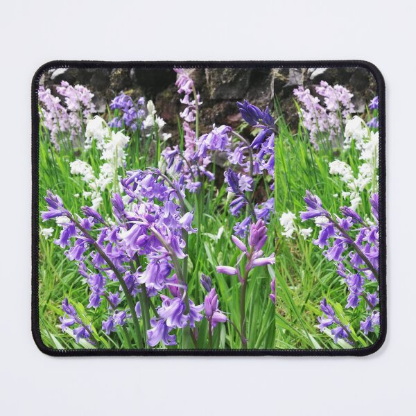 Item preview, Bluebells photograph designed and sold by esvb.