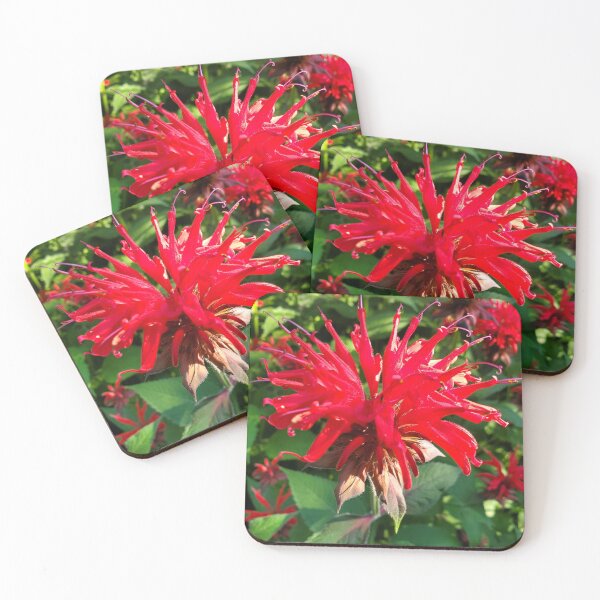 Item preview, Bee Balm designed and sold by bobewing.