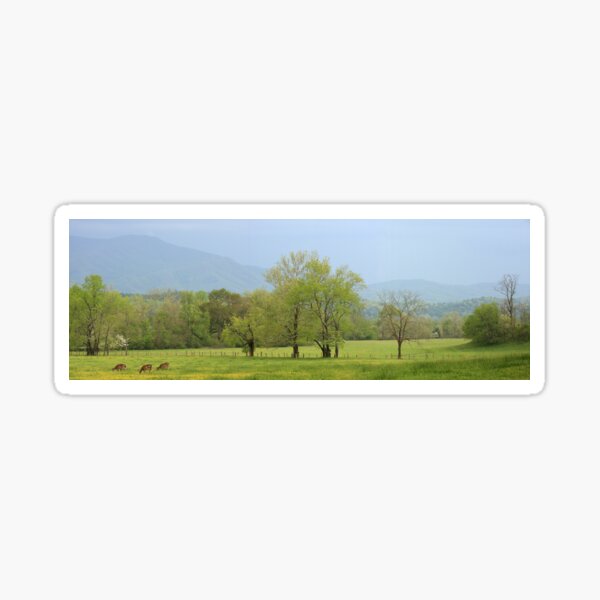 Spring Cove Sticker