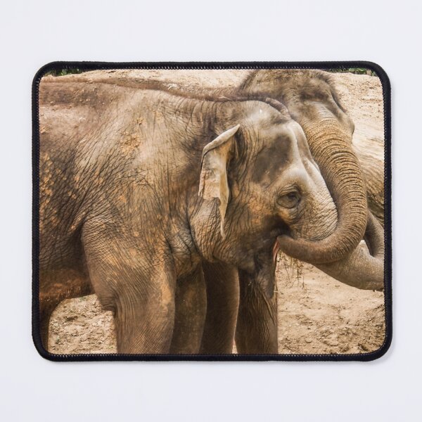 Item preview, Pachyderm Pals designed and sold by Steven Jodoin.