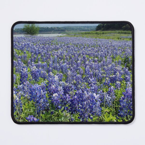 Item preview, Bluebonnets photography designed and sold by Monika Howarth.