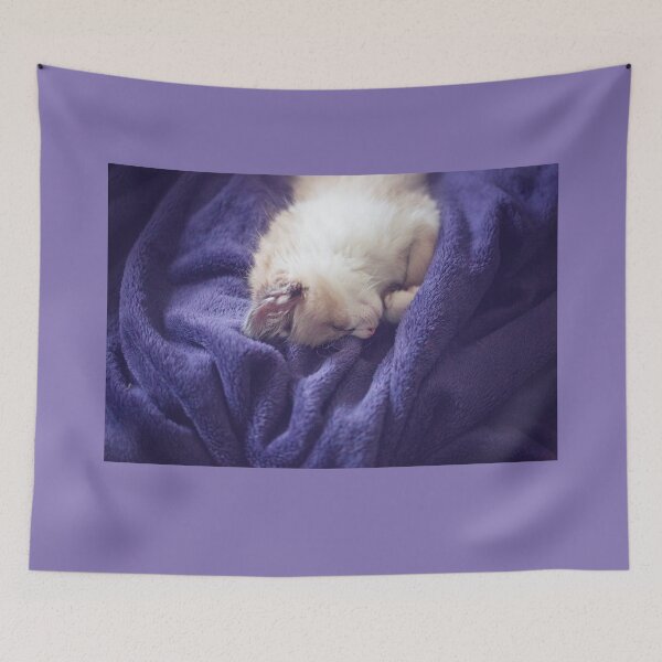Item preview, sacred birman kitten sleeping designed and sold by Nebulae-Art.